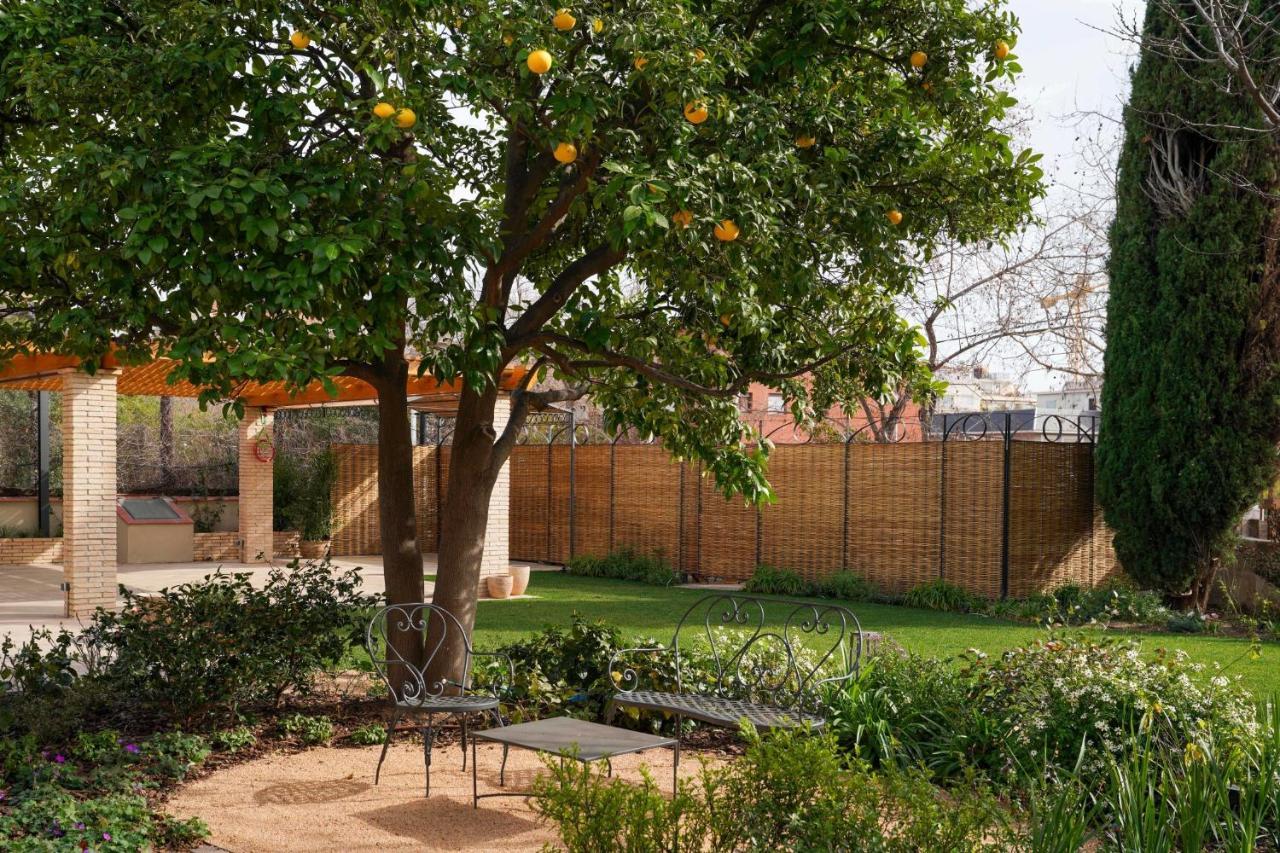 Hotel Boutique Mirlo บาร์เซโลนา ภายนอก รูปภาพ The garden of the museum